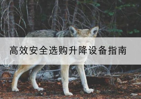 碑林升降货梯厂家推荐-*安全选购升降设备指南