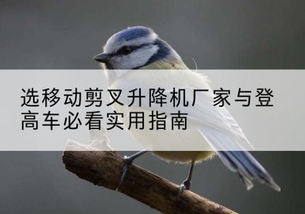 碑林电动升降机厂家-选移动剪叉升降机厂家与登高车必看实用指南