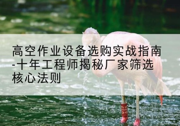 碑林剪叉式升降机厂家-高空作业设备选购实战指南-十年工程师揭秘厂家筛选核心法则